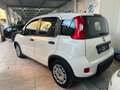 Fiat Panda City Life 1.0 FireFly S&S Hybrid  70cv - thumbnail 3