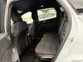 Ford Kuga 1.5 EcoBlue 120 CV 2WD ST-Line Blanc - thumbnail 6