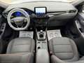 Ford Kuga 1.5 EcoBlue 120 CV 2WD ST-Line Blanc - thumbnail 8