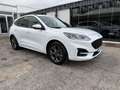 Ford Kuga 1.5 EcoBlue 120 CV 2WD ST-Line Blanc - thumbnail 4