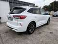 Ford Kuga 1.5 EcoBlue 120 CV 2WD ST-Line Blanc - thumbnail 3