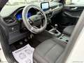 Ford Kuga 1.5 EcoBlue 120 CV 2WD ST-Line Blanc - thumbnail 7