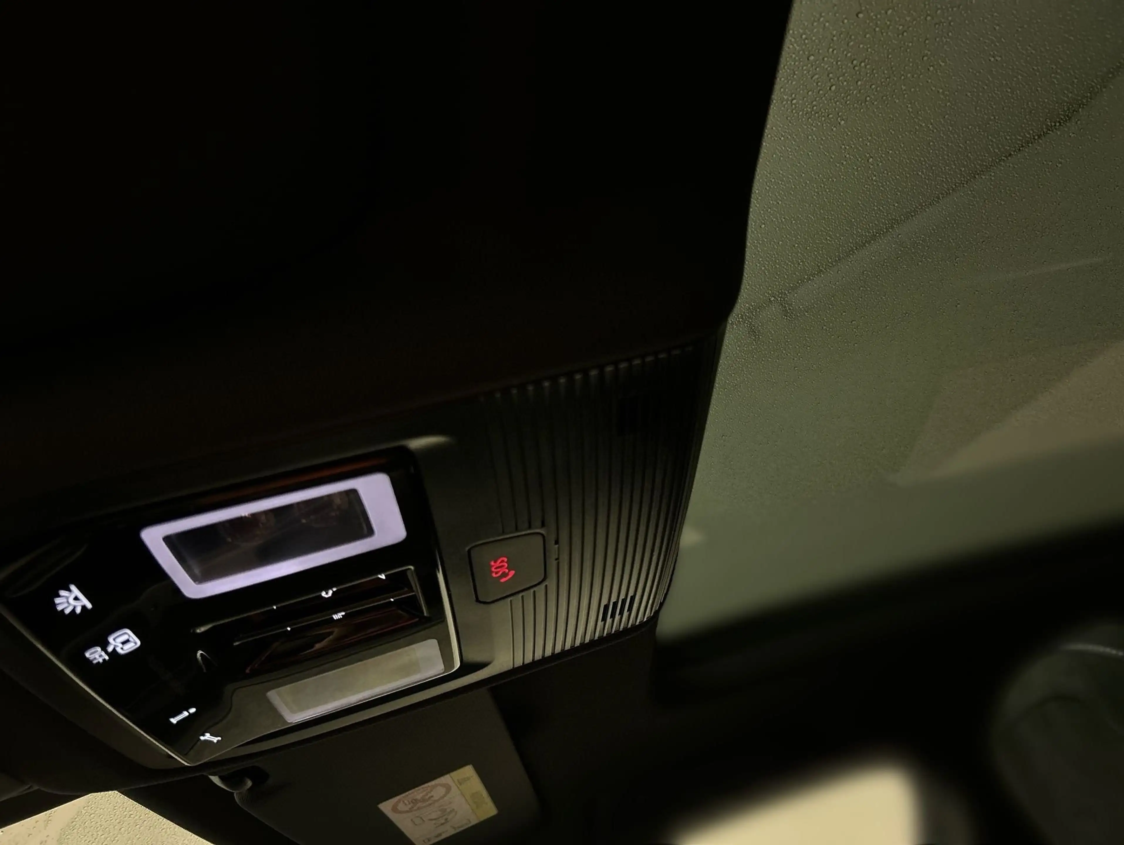 Volkswagen Golf Variant 1.5 eTSI DSG  R-Line CarPlay Pano — photo 14