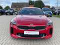 Kia Stinger 3.3 V6 TGDI GT 4WD BI-LED Scheckheft 2HD Rot - thumbnail 3
