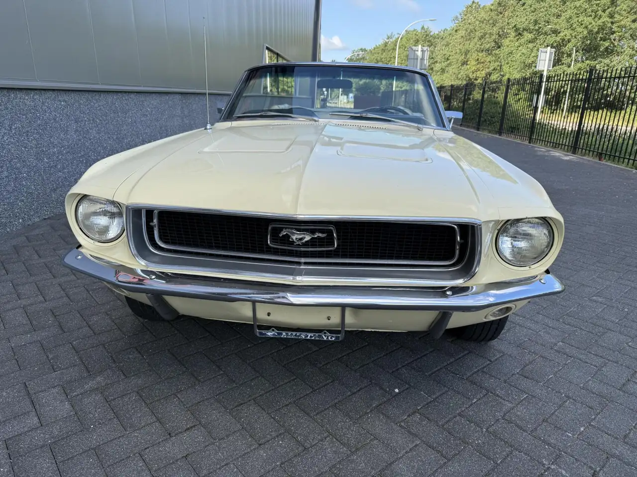 Ford Mustang Convertible, foto 8