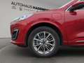 Ford Kuga 2.5 Duratec PHEV VIGNALE Rot - thumbnail 13