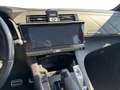 DS Automobiles DS 7 1.5 bluehdi Grand Chic 130cv auto Grigio - thumbnail 10