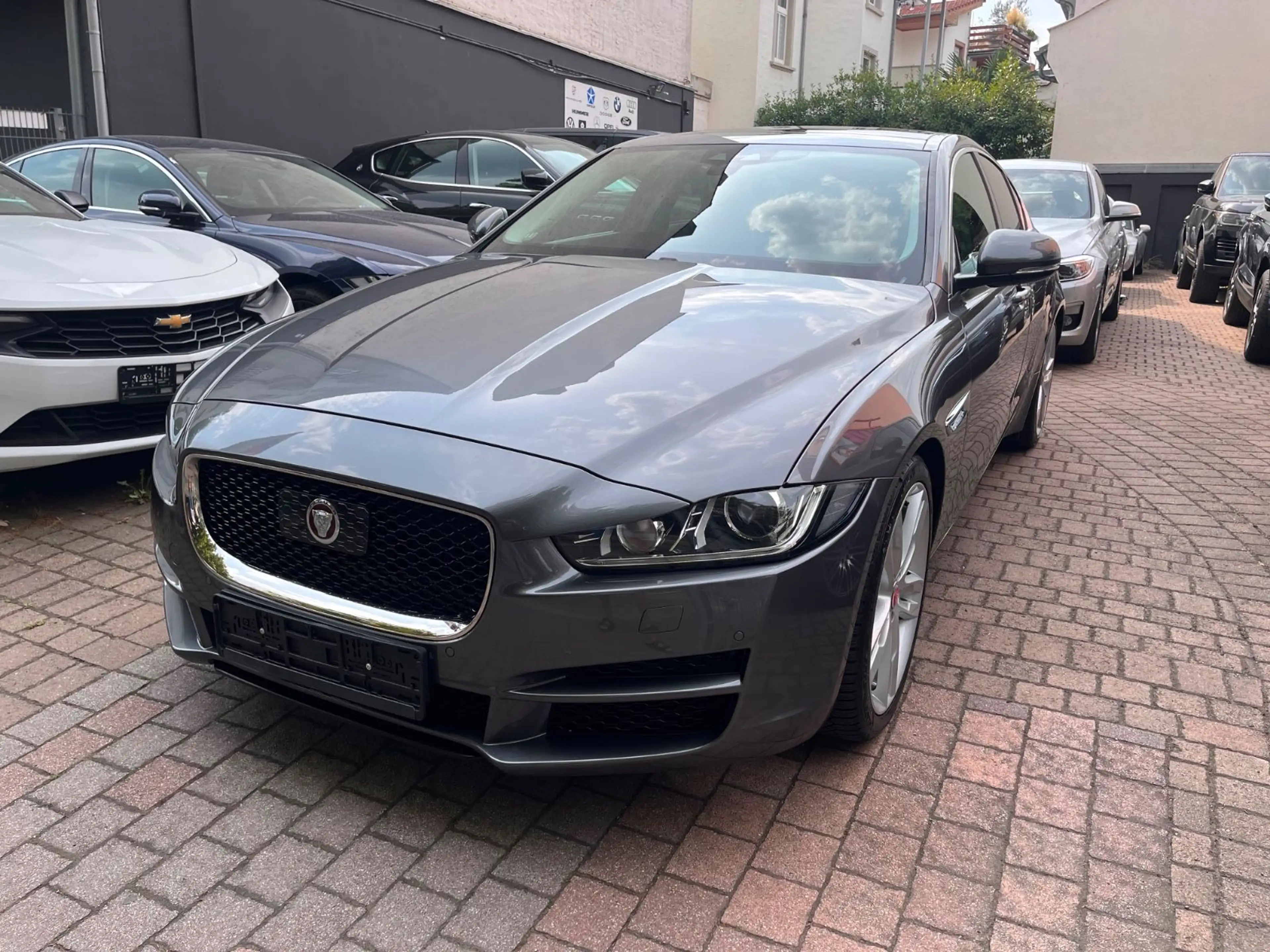 Jaguar XE Portfolio Bi-Xenon Panoramadach  Kamera Leder — photo 3