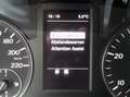 Mercedes-Benz Vito 116 CDI Extralang Regale+Standh+AHK+Cam+Klima+Navi Brun - thumbnail 30