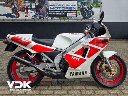 Yamaha TZR 250