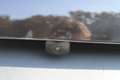 Fiat Grande Panda 1.2 T 100 La Prima Schwarz - thumbnail 12
