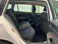 Volkswagen Golf Variant Golf VIII Variant 1.0 TSI Life FrontAssist LED D Weiß - thumbnail 5