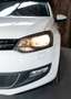 Volkswagen Polo 1.2 TSI Highline |Pano|Cruise|Stoelverwarming Wit - thumbnail 5