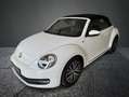 Volkswagen Maggiolino Cabrio 1.2 TSI Allstar Blue.Tech. Bianco - thumbnail 1