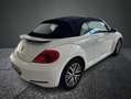 Volkswagen Maggiolino Cabrio 1.2 TSI Allstar Blue.Tech. Bianco - thumbnail 11