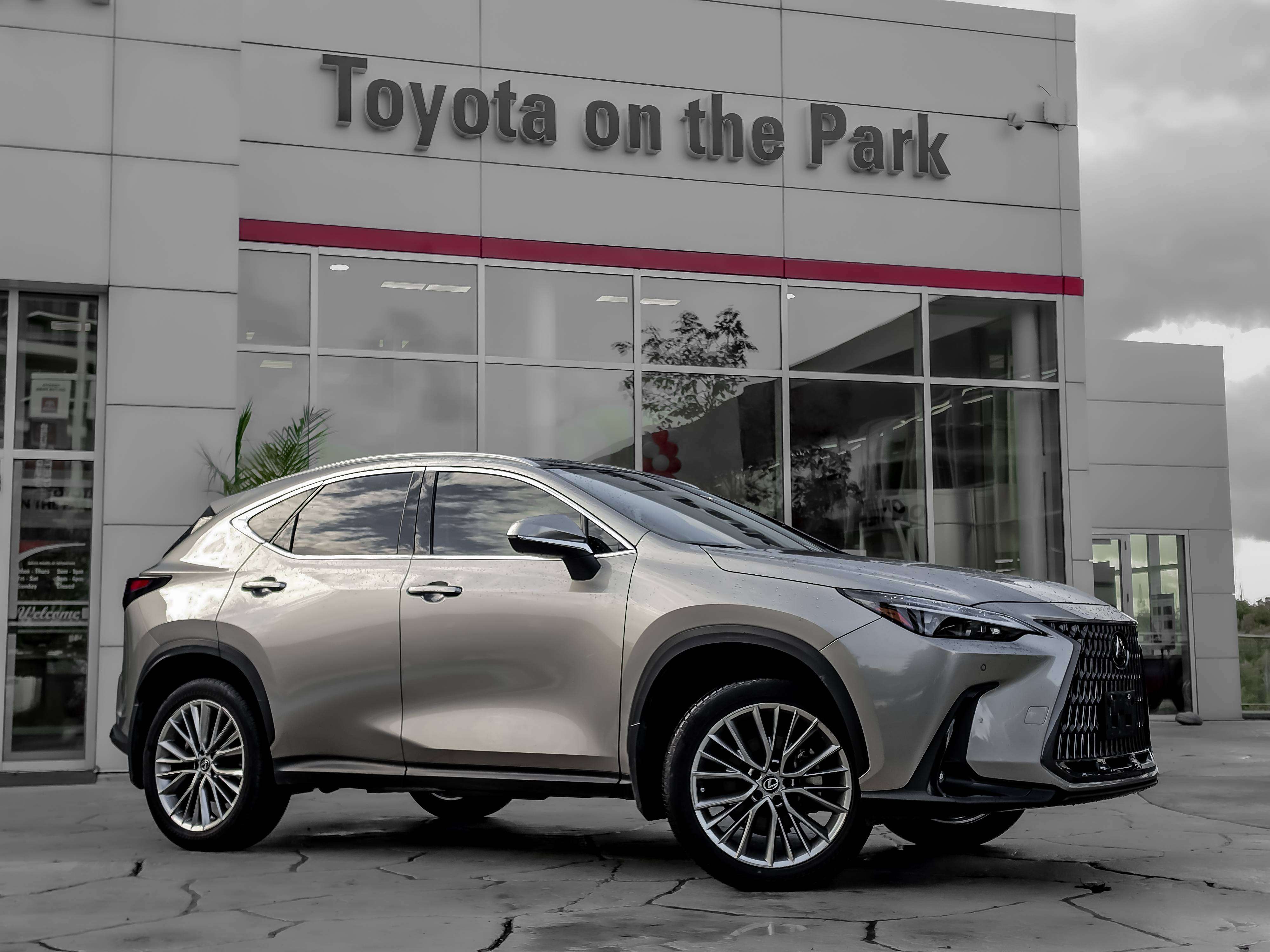 used 2025 Lexus NX car, priced at $51,495