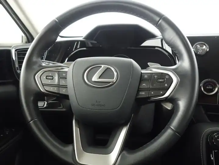 Lexus NX 2022, foto 13