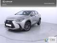 Lexus NX 350h Business City 2WD Gris - thumbnail 1