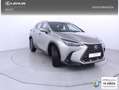 Lexus NX 350h Business City 2WD Gris - thumbnail 26