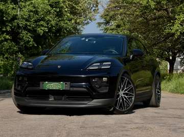 Macan II 2024 4