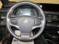 Lexus UX 250h Hybrid Luxury Gris - thumbnail 11