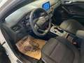 Ford Focus 1.5 EcoBlue ST-Line (EU6d) Wit - thumbnail 18