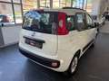Fiat Panda Panda 1.3 mjt 16v Lounge s Bianco - thumbnail 6