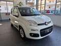 Fiat Panda Panda 1.3 mjt 16v Lounge s Bianco - thumbnail 3