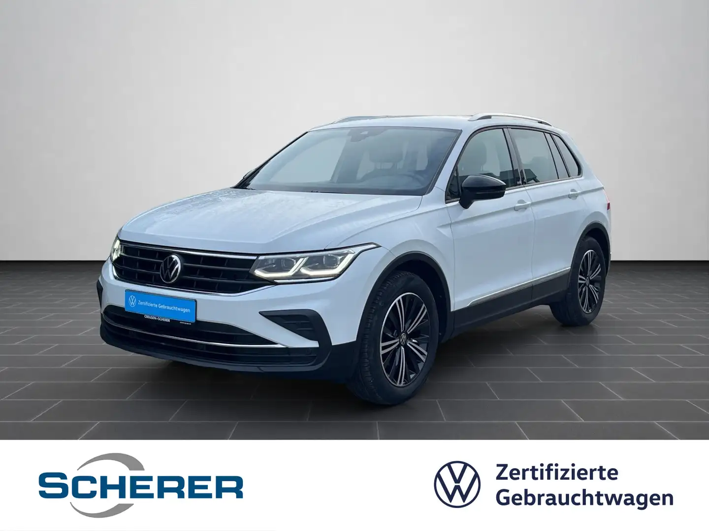 Volkswagen Tiguan 1.5 TSI DSG Life NAVI SHZ RFK ACC RFK Weiß - 1