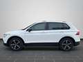 Volkswagen Tiguan 1.5 TSI DSG Life NAVI SHZ RFK ACC RFK Weiß - thumbnail 6