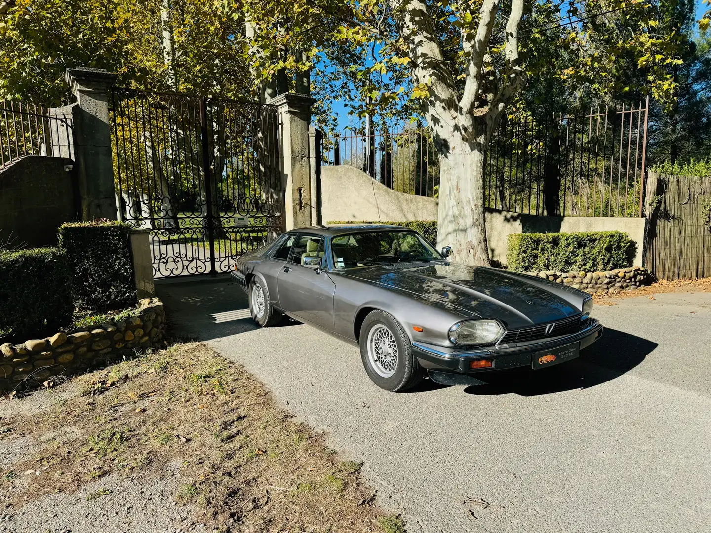 Jaguar XJS XJS 3.6 A Grigio - 1