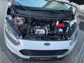 Ford Transit Courier Trend Ex Apotheke inkl. 19%MwSt Blanco - thumbnail 24