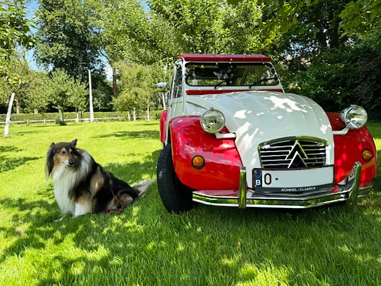 Citroen 2CV oldtimer 1989, volledig gerestaureerd, op wens volledige foto-documentatie. Ingeschreven als oldtimer.Proefrit mogelijk, foto 6