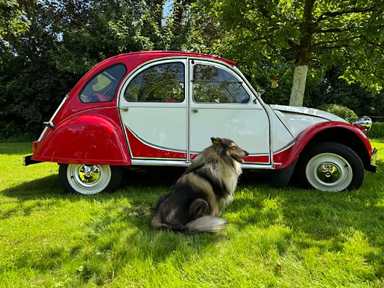 Citroen 2CV oldtimer 1989, volledig gerestaureerd, op wens volledige foto-documentatie. Ingeschreven als oldtimer.Proefrit mogelijk, foto 5