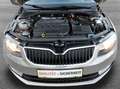 Skoda Octavia Combi 1,6 Ambition TDI Green tec*PDC*TEMPOMAT* - thumbnail 19
