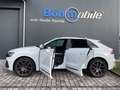 Audi SQ8 4.0 TFSI/Pano/AHK/STDHZG/HUD/22 Zoll/MWST Weiß - thumbnail 2