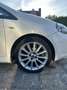 Fiat Punto Evo 3p 1.3 mjt Fun 75cv - thumbnail 3