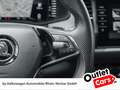 Skoda Kodiaq 2.0 TDI Ambition LED DSG Navi Kamera uvm Grau - thumbnail 24
