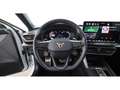 CUPRA Leon SP 1.5 eTSI Aut LED RADAR LEDER ASSIST Weiß - thumbnail 22