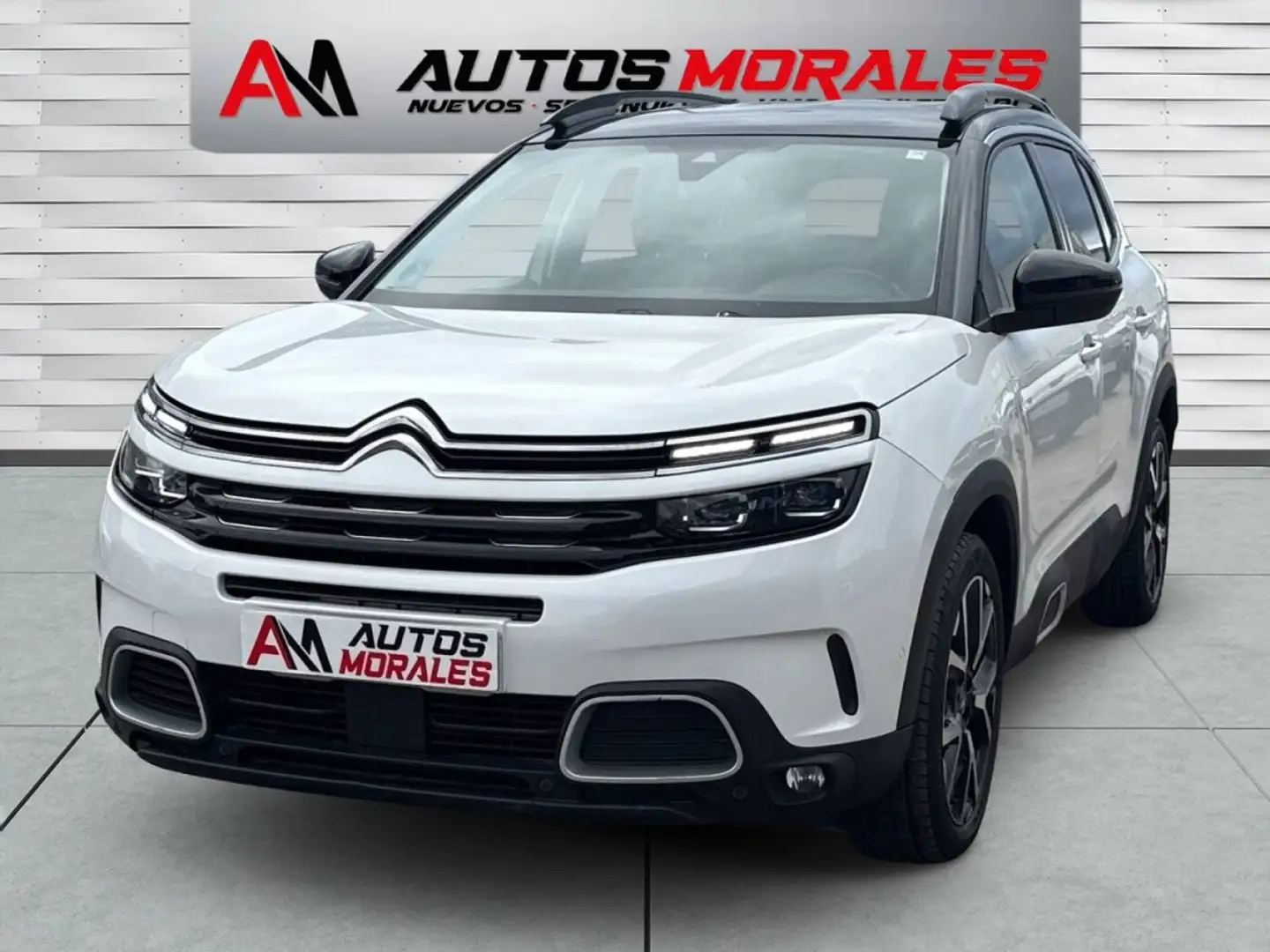 Citroen C5 Aircross BlueHDi S&S C-Series EAT8 130 Weiß - 2