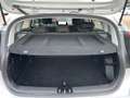 Hyundai BAYON 1.0T Trend 7-DCT Trend  Navi Kamera BOSE Grau - thumbnail 12
