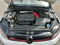 Volkswagen Golf GTI 2.0 TSI Performance DSG 230 - thumbnail 7