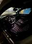 Volkswagen Golf GTI 2.0 TSI Performance DSG 230 - thumbnail 10