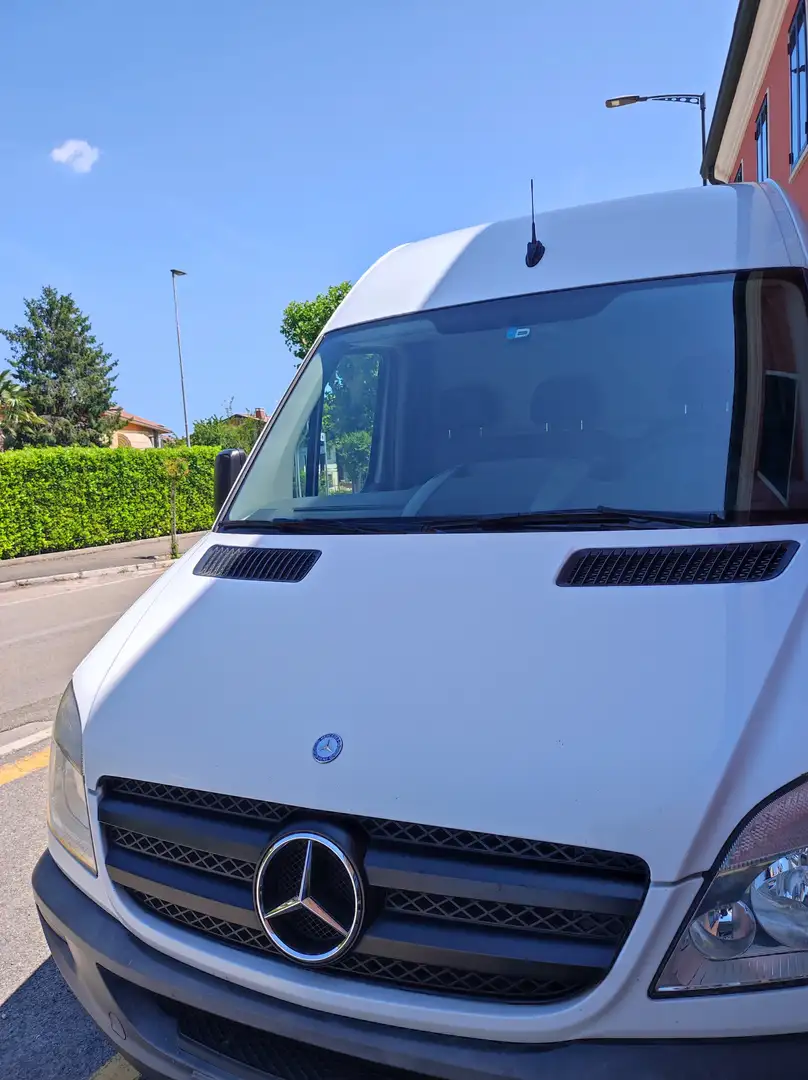 Mercedes-Benz Sprinter 313 CDI Tetto Alto Bianco - 1