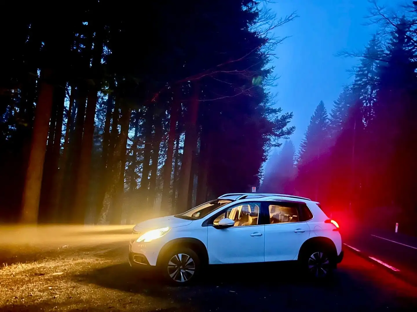 Peugeot 2008 2008 1,2 PureTech 110 S Weiß - 1