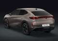 CUPRA Tavascan Endurance 77 kWh 210 kW (286 PS), Automatik, He... Beige - thumbnail 5