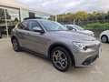Alfa Romeo Stelvio Stelvio 2.2 Turbodiesel 210 CV AT8 Q4 Executive Grigio - thumbnail 3