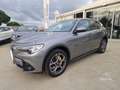 Alfa Romeo Stelvio Stelvio 2.2 Turbodiesel 210 CV AT8 Q4 Executive Gris - thumbnail 2