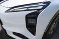 Hongqi EHS7 Long Range Launch Edition 111kWh | 600KM WLTP acti Blanc - thumbnail 22