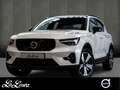 Volvo XC40 T5 Recharge Plus Dark NP:63.380,-/MEMORY/ACC/RFK Blanc - thumbnail 1